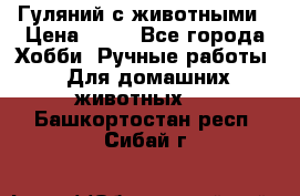 Гуляний с животными › Цена ­ 70 - Все города Хобби. Ручные работы » Для домашних животных   . Башкортостан респ.,Сибай г.